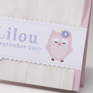 Faire-part de naissance vintage fille hibou  Belarto Baby Dreams 715091