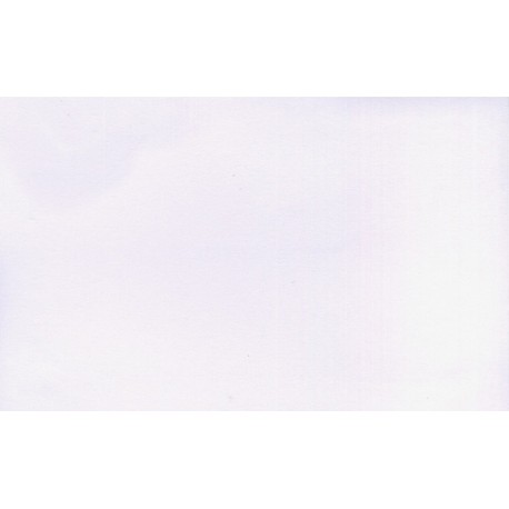 Carte remerciement décès blanche sans illustration avec ajout possible d'une photo Decorte 9201 Carte remerciement décès blanche sans illustration avec ajout possible d'une photo Decorte 9201