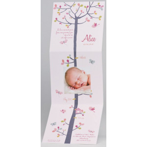 Faire-part naissance original nature rose arbre papillon Buromac Baby Folly (2016) 586.136