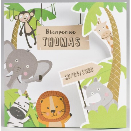 Faire-part naissance humoristique original animaux de la jungle BUROMAC Pirouette 2017 507.087 Faire-part naissance humoristique original animaux de la jungle BUROMAC Pirouette 2017 507.087