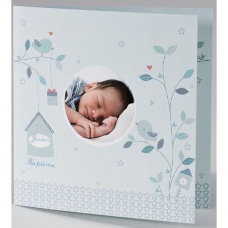 Faire-part naissance camaïeu vert turquoise oiseaux photo BUROMAC Pirouette 2017 507.118 Faire-part naissance camaïeu vert turquoise oiseaux photo BUROMAC Pirouette 2017 507.118