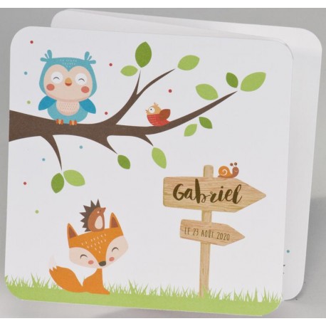 Faire-part naissance gai multicolore oiseau renard BUROMAC Pirouette 2017 507.085 Faire-part naissance gai multicolore oiseau renard BUROMAC Pirouette 2017 507.085