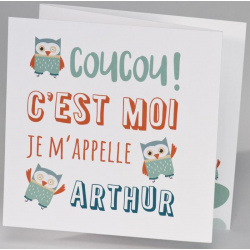 Faire-part naissance tendance hibou graphique vert BUROMAC Pirouette 2017 507.032