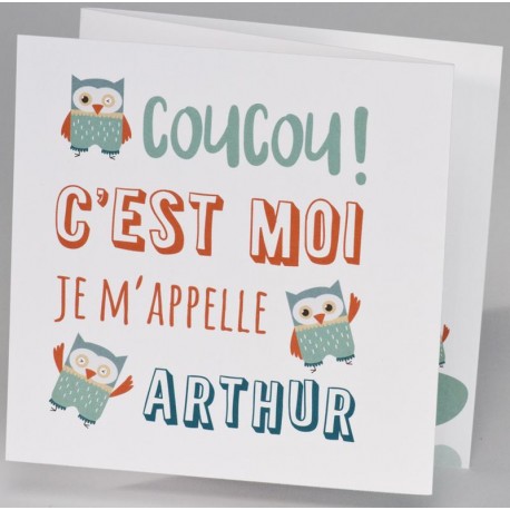Faire-part naissance tendance hibou graphique vert BUROMAC Pirouette 2017 507.032 Faire-part naissance tendance hibou graphique vert BUROMAC Pirouette 2017 507.032