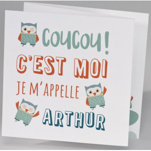 Faire-part naissance tendance hibou graphique vert BUROMAC Pirouette 2017 507.032