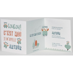 Faire-part naissance tendance hibou graphique vert BUROMAC Pirouette 2017 507.032