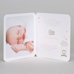 Faire-part naissance original famille hiboux Buromac Baby Folly (2019) 589.092-2