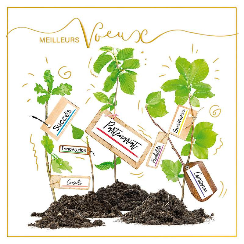 Carte De Vœux Nature Jardin Potager Abondance Faire Part Select Btb507