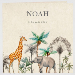 Faire-part naissance baptême original dessin girafe éléphant Buromac Baby Folly (2022) 581.039