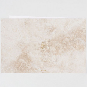 Dos du faire-part reprenant le fond pierre beige de la couverture