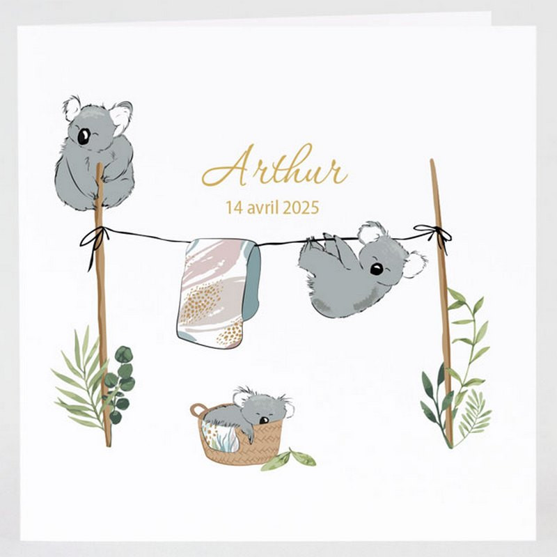 Faire-part naissance mignon koalas bambou linge Buromac Baby Folly (2022) 581.006 Faire-part naissance mignon koalas bambou linge Buromac Baby Folly (2022) 581.006