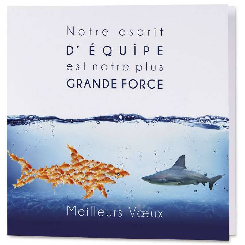 Carte de Vœux solidaire humoristique poissons requin Buromac 842.139