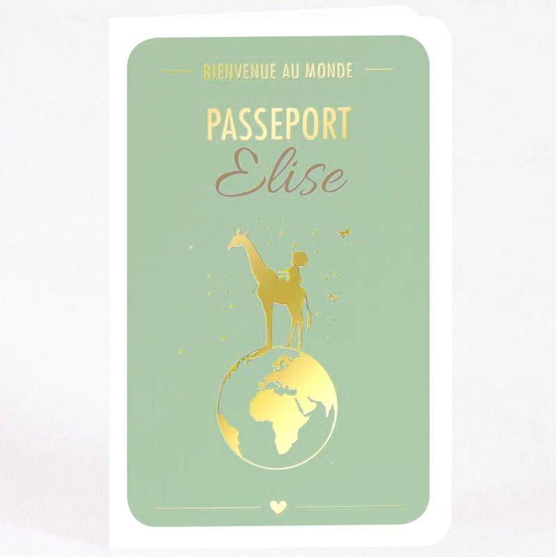 Faire-part naissance original passeport bébé girafe vert Buromac Baby Folly (2022) 581.077