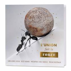 Carte de voeux sur le thème de la collaboration, présentant deux fourmis qui s'entraident à pousser un rocher