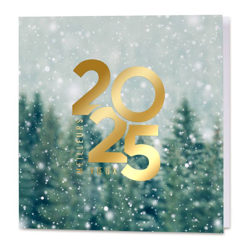 Carte de vœux classique, illustrée d'un paysage de forêt de sapins sous la neige et d'une inscription dorée par-dessus. Carte de vœux classique, illustrée d'un paysage de forêt de sapins sous la neige et d'une inscription dorée par-dessus.