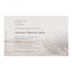 Carte remerciement décès taille moyenne avec paysage en filigrane sépia