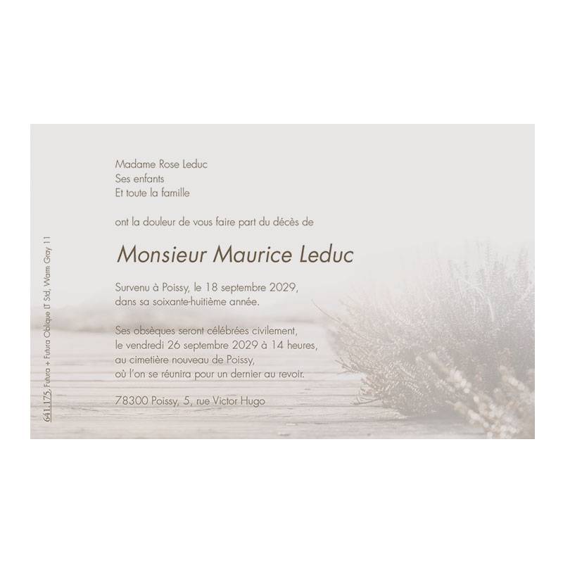 Carte remerciement décès taille moyenne avec paysage en filigrane sépia Carte remerciement décès taille moyenne avec paysage en filigrane sépia
