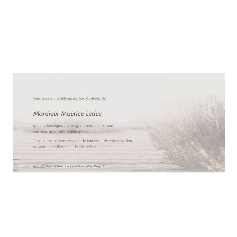 Carte remerciement décès crème avec paysage sépia en filigrane Carte remerciement décès crème avec paysage sépia en filigrane