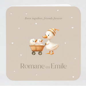 Faire-part attendrissant pour jumeaux ou jumelles avec canetons en poussette