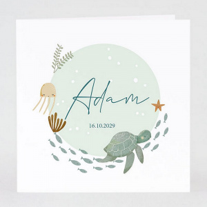 Faire-part naissance ou baptême avec illustration animaux marins