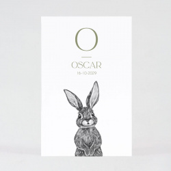 Faire-part simple dessin au crayon d'un petit lapin curieux