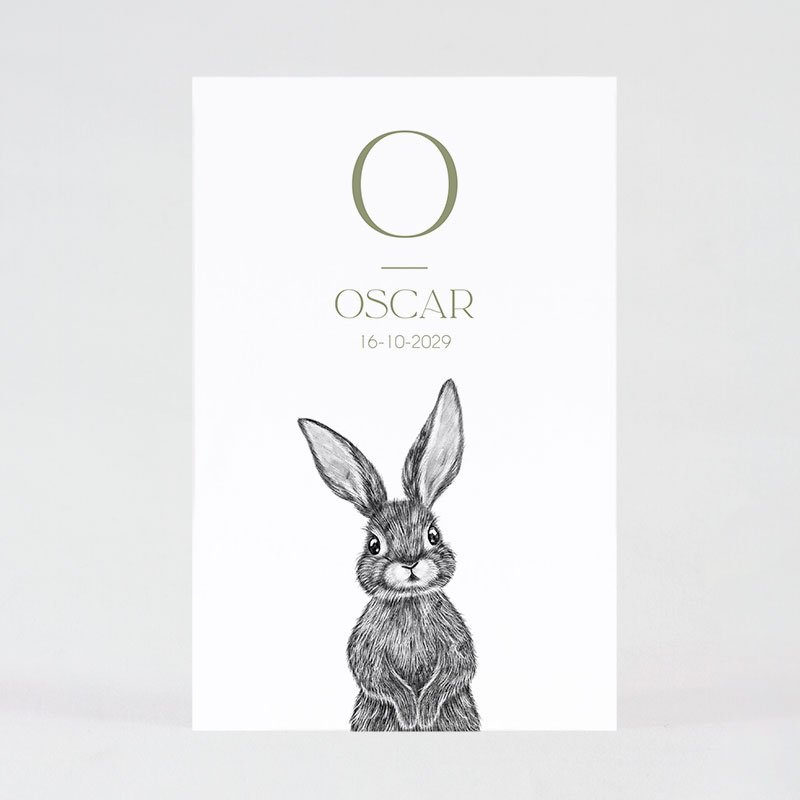 Faire-part simple dessin au crayon d'un petit lapin curieux Faire-part simple dessin au crayon d'un petit lapin curieux