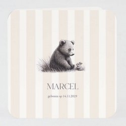 Faire-part classique illustration crayon ourson pour annoncer une naissance ou un baptême