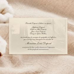 Carte remerciement couleur crème avec paysage forestier en filigrane