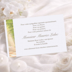 Carte de remerciement après décès illustration rayon de soleil en forêt