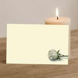 Carte remerciement deuil simple illustration rose blanche sur fond crème