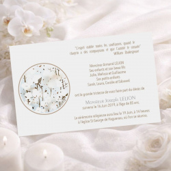 Carte de remerciement décès douce fleurs de coton blanches