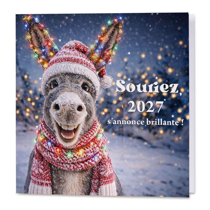 Carte de voeux drôle avec un âne portant bonne et écharpe de noël en illustration