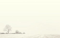 Carte remerciement décès avec paysage de campagne en noir et blanc