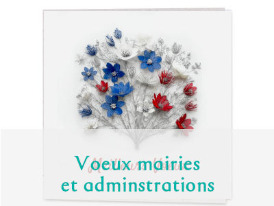 Cartes de voeux spéciales pour mairies et administrations françaises