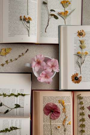 Livres ouverts avec citations inspirantes et fleurs séchées